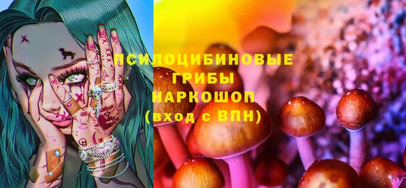 Галлюциногенные грибы MAGIC MUSHROOMS Ижевск